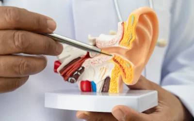 How Long Does a Perforated Eardrum Take to Heal Without Surgery?